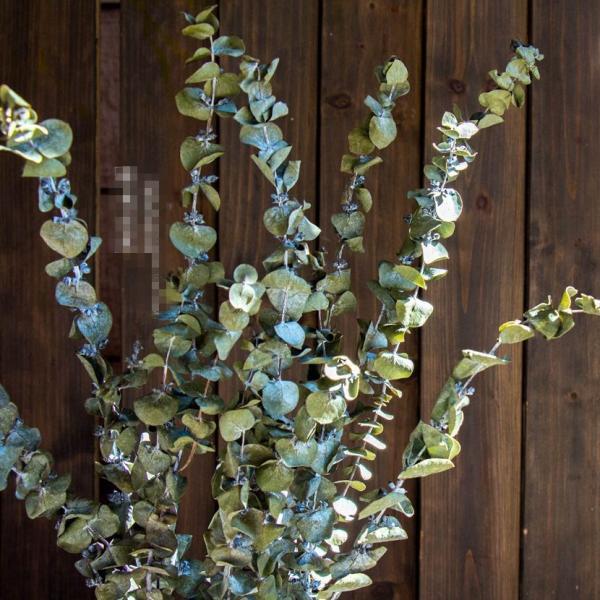 hCt[ [J u IuWF CeA G u a v[g v`Mtg kAeB[N  o