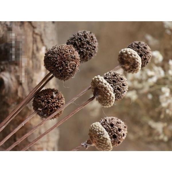 hCt[ u IuWF CeA G u a v[g v`Mtg kAeB[N  o