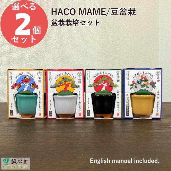 ■商品名：HACO MAME盆栽栽培セット（全4種）×2個セット■外装寸：55mm×35mm×73mm■内容　：豆鉢、膨らむ土、種、説明書（日本語/英語）■樹種　：黒松、赤松、紅葉、五色唐辛子■手のひらサイズの鉢で小さな樹木を育てる盆栽栽培...