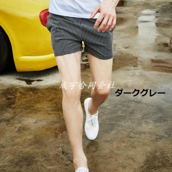 ストライプ柄 ショートパンツ メンズ 三分丈 スポーツウェア フィットネス ランニング トレーニング 半パン 短パン カジュアル 吸汗 速乾 男性用 ランニング