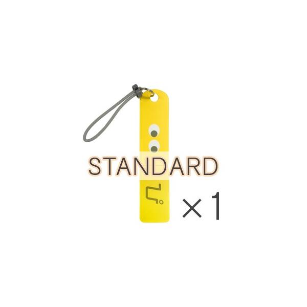 yNbN|XgΉizP҂V X^_[h i16jP