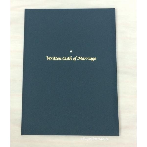 ؖ}A[W@lCr[@lOp@񏑁@1124