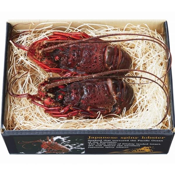 Yn@_̍ɐuZNVɐCV2Zbg