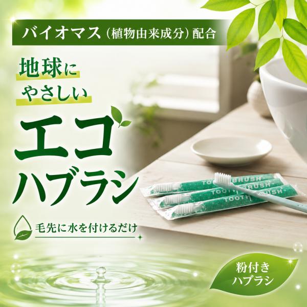 バイオマス インスタントハブラシ 粉付き 100本入 業務用歯ブラシ エコ 歯磨き粉付き コンパクトヘッド 薄型 バイオマスマーク ハミガキ 日本製