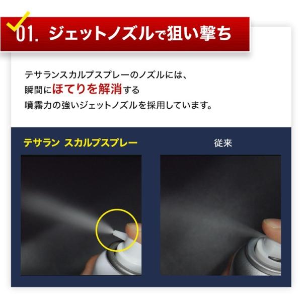 頭皮 汗 ケア スプレー リフレッシュ ドライシャンプー テサランスカルプ Tesaran Scalp 頭の汗 臭い 冷却 100g デオドラント 無添加 Buyee Buyee 日本の通販商品 オークションの代理入札 代理購入