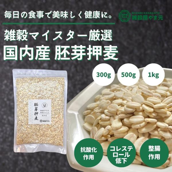 国内産 胚芽押麦 チャック付き 【麦ごはん おしむぎ 押し麦 大麦 国産 食物繊維 腸内環境改善 混ぜて炊くだけ 業務用 送料無料】