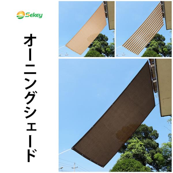 sekey-online_y12 sekey-online_y12