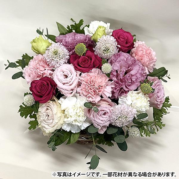 welzo 直送 日時指定不可 お祝いアレンジ ＃3953 北海道・沖縄・離島