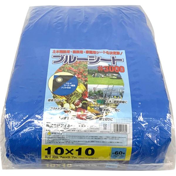 AClbg u[V[g 3000 10m×10m