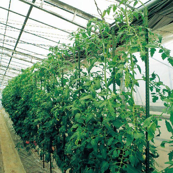 ZLXC C{|\Lbvtx@y20×2.1Mz25{