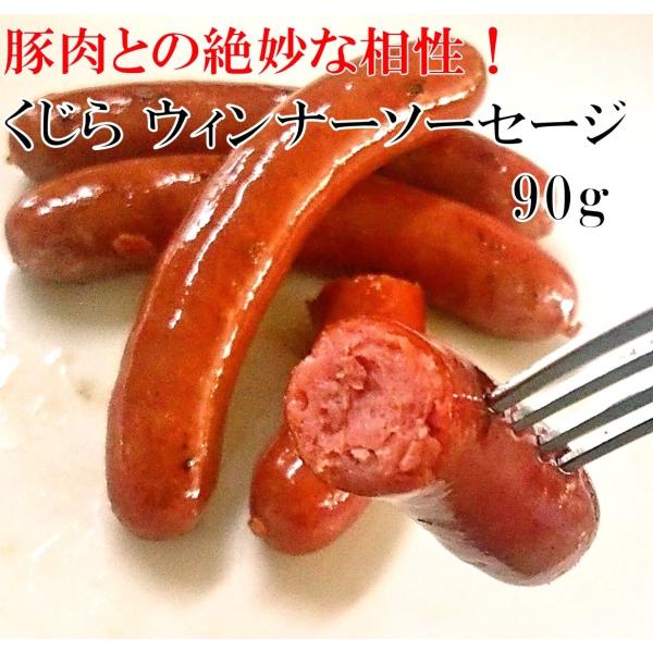 nӃnH[R{ EBi[\[Z[W 90g Y ~N NW ɊCY