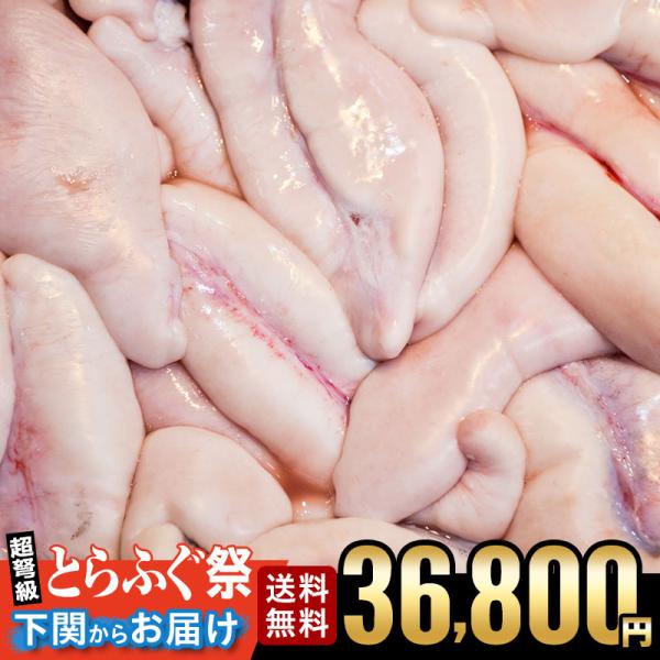 ふぐ 冬 ギフト ふぐ鍋 ふぐちり とらふく白子福袋 松 お取り寄せ 山口 海鮮 御祝 グルメ