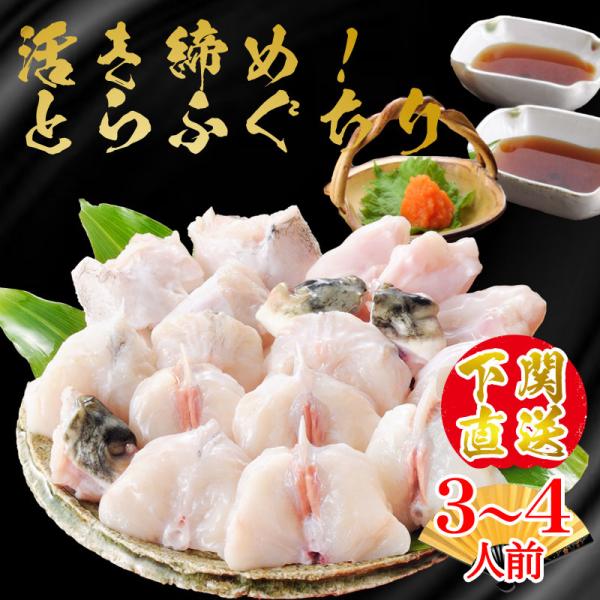 【山口県名産！とらふぐちりセット】鮮度抜群！朝獲れ活締めだから旨さが違う！捌いたその日に冷蔵出荷！お中元ギフトなど贈り物に最適です♪ふぐの本場・山口県下関より真心込めて贈ります。■内容量■とらふぐちり500g、ふぐポン酢180ml、もみじお...