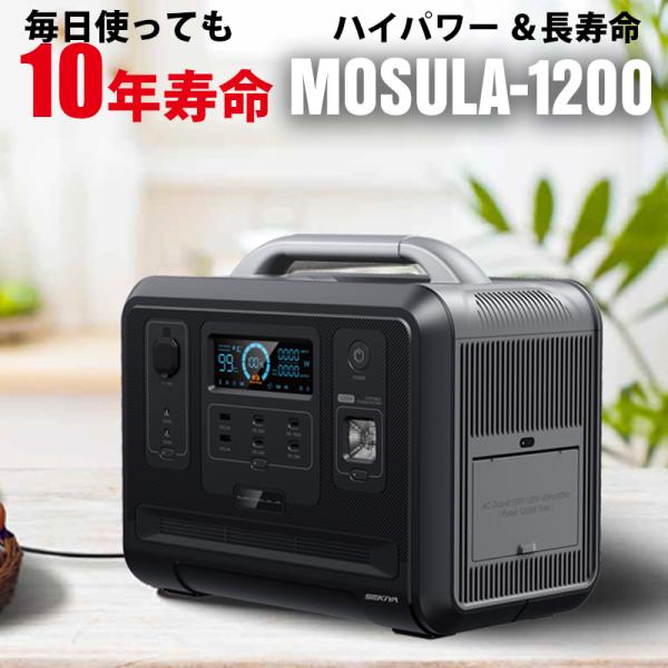 ポータブル電源 大容量960Wh AC出力1200W 1.5時間フル充電 世界最新 ポータブル電源 出力1200w 容量960wh UPS 最大16個の電子機器