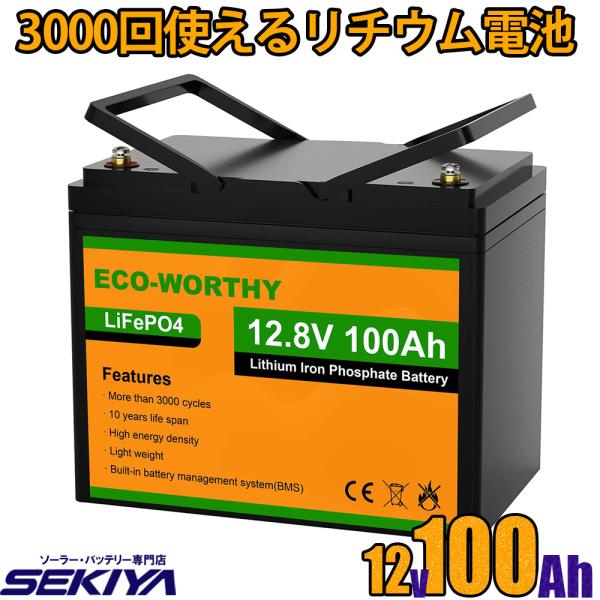 sekiyaeco_ewli100ah sekiyaeco_ewli100ah