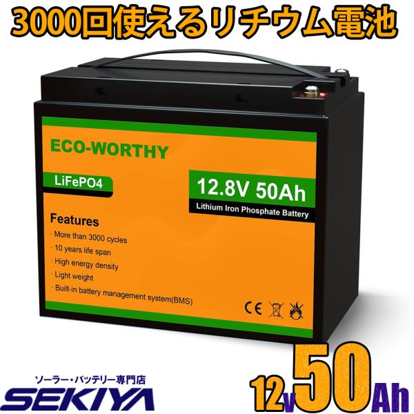 sekiyaeco_ewli50ah