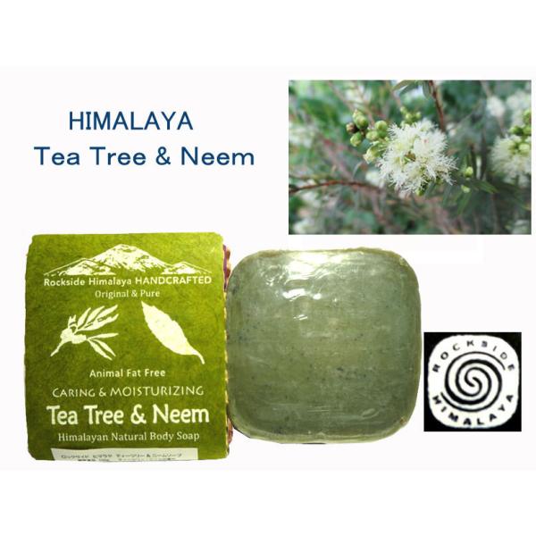 A[F[_@bNTCh@q}@eB[c[@@j[@\[v@100g AYURVEDA ROCKSIDE HIMALAYA TEA TREE &amp; NEEM SOAP