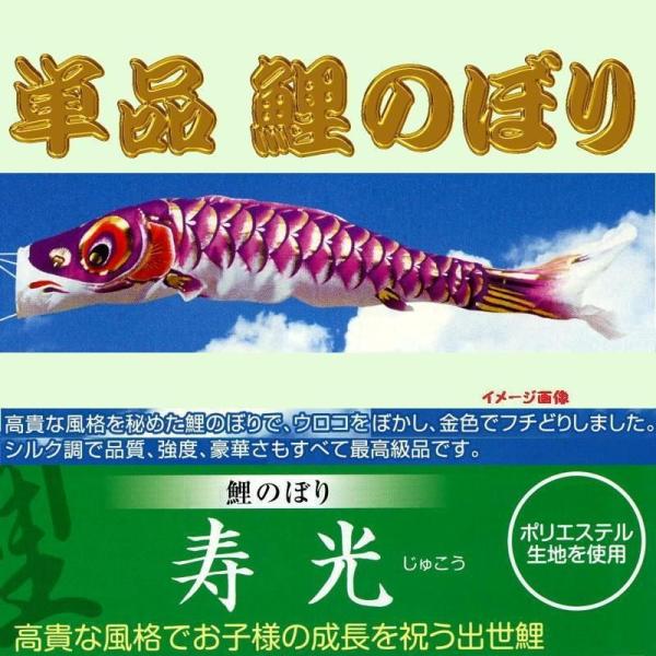 Pîڂ聙p[vQ̂ڂ