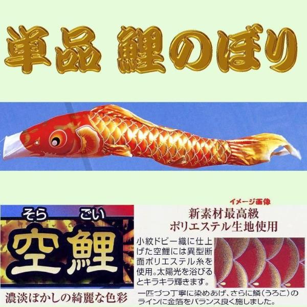 5m こいのぼり 単品 鯉のぼりの人気商品・通販・価格比較 - 価格.com 5m こいのぼり 単品 鯉のぼりの人気商品・通販・価格比較 - 価格.com