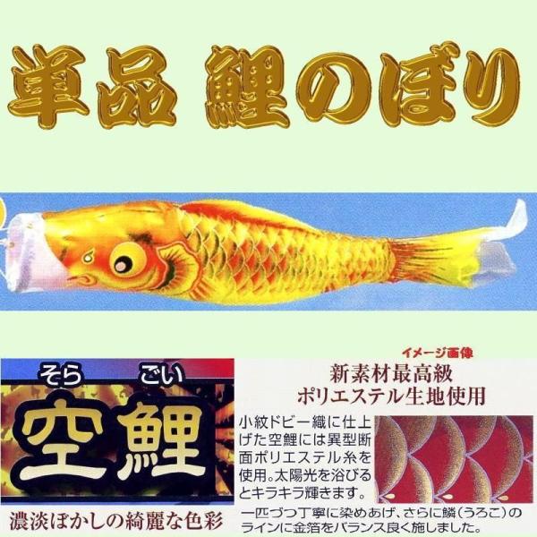 Pîڂ聙CG[P̂ڂ