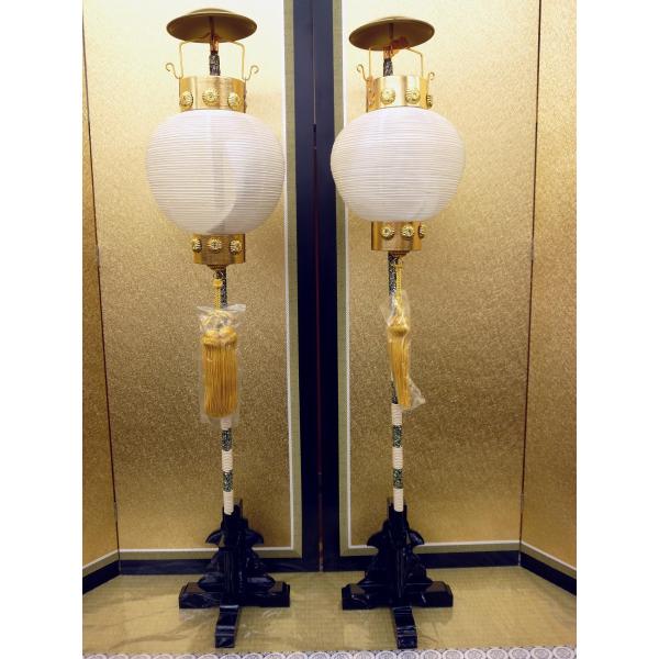 [߂̐ߋ偙w񓔒PiƖ䖼O VR \gw񓔂U(dC)聙WWEΑܒaPW