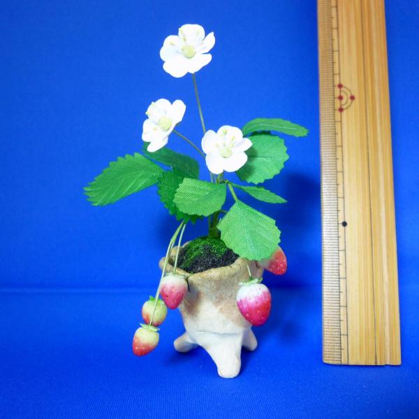 G߂̂聙()cymq~j`AԃV[Y摜̓C[WłBP_ɃfUC傫قȂ܂B