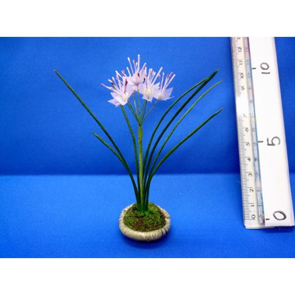 G߂̂聙P傤cymq~j`AԃV[Y摜̓C[WłBP_ɃfUC傫قȂ܂B