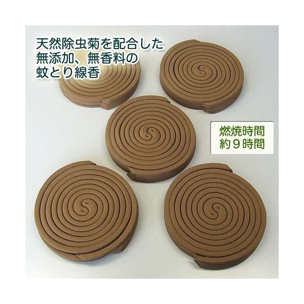商舗 蚊取り線香 缶 夕顔 50巻 Big缶入 ｌ