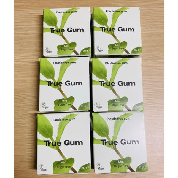 True Gum トゥルーガム ミント味 21g×6個 true gum