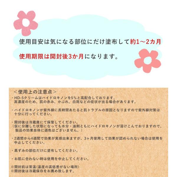 Exfole エクスフォーレ Hd 5 クリーム 5g ハイドロキノン高配合クリーム Ln 2528n Buyee 日本代购平台 产品购物网站大全 Buyee一站式代购 Bot Online