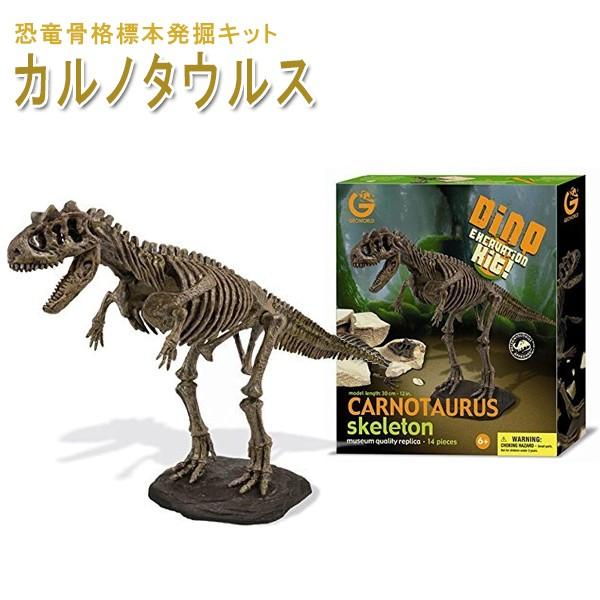 恐竜発掘セット カルノタウルス 骨格標本 知育 工作 Cl 175k ライフスタイル 生活雑貨のmofu 通販 Paypayモール