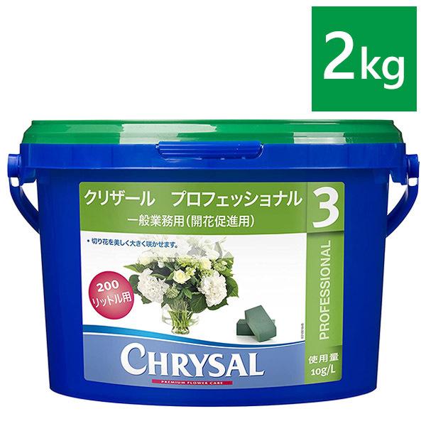 クリザール プロフェッショナル 3 2kg 粉末タイプ バケツ 延命剤 切り花活力剤 フラワーアレンジメント 業務用 Chrysal Buyee Buyee Japanese Proxy Service Buy From Japan Bot Online