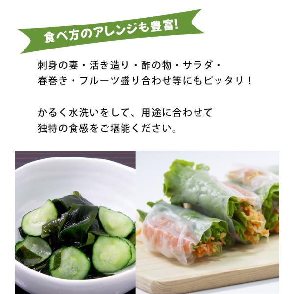 海藻クリスタル サラダちゃん 70g 個セット 国産 低カロリー 海藻麺 食物繊維 無添加 まとめ買い Buyee 日本代购平台 产品购物网站大全 Buyee一站式代购 Bot Online