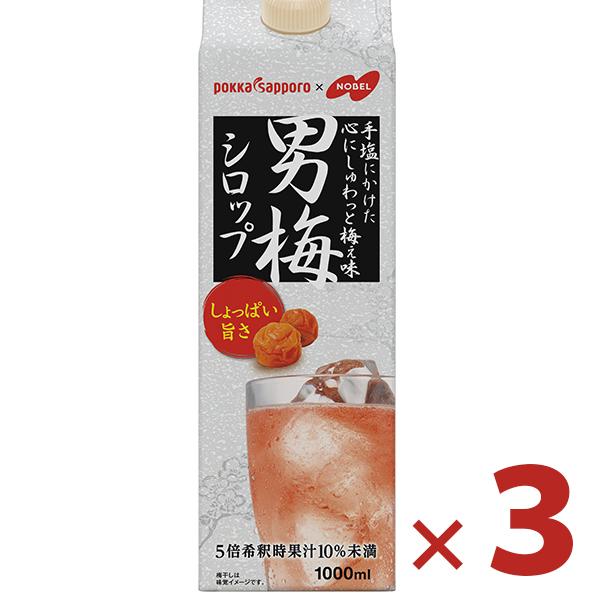 ポッカサッポロ 男梅シロップ 1000ml×3本セット 業務用 紙パック 5倍希釈 かき氷 カクテル...