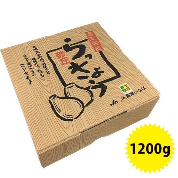 砂丘らっきょう甘酢漬 ギフト仕様 200g×6個セット 鳥取特産 JA鳥取