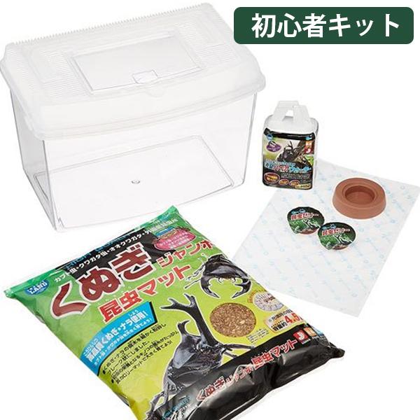 初心者 カブトムシ 飼育