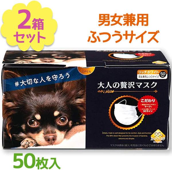 sDz}XN ̃v[c cY lґ}XN 50×2Zbg b`zCg ӂTCY ĝ l ECX΍ j  ɂȂ