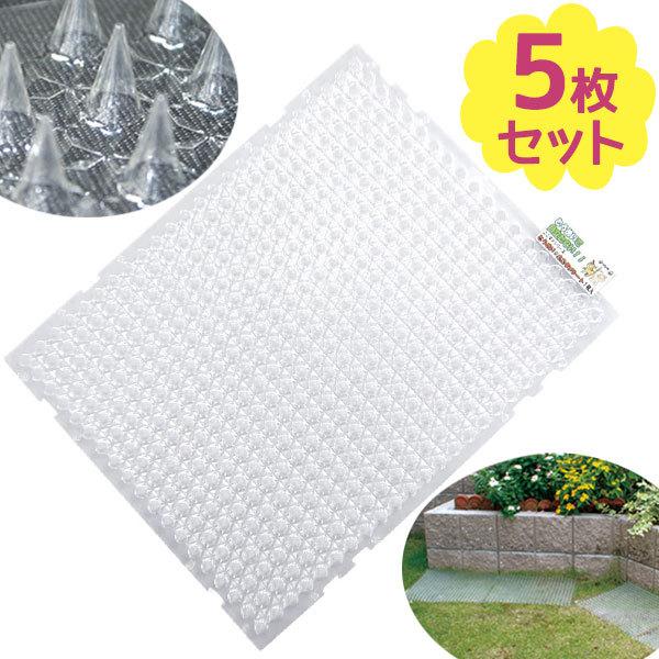 daim _V[g L悯 ^Cv  5Zbg Aی ǌÊ˂΍ 쒹 Qb΍ObY hbpi  x_