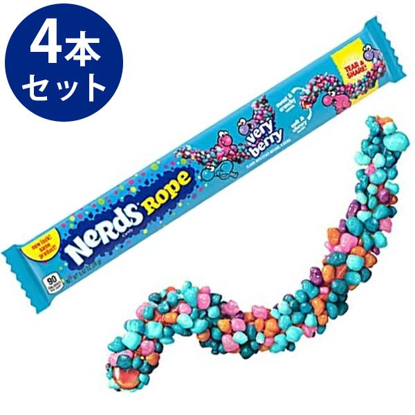 ナーズロープグミ ベリーベリー 26g×4個セット 飴 キャンディ 駄菓子