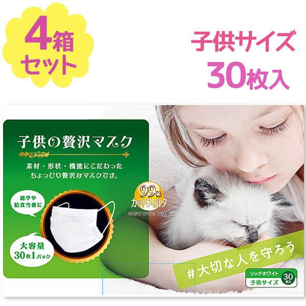 }XN qґ}XN sDz 30×4 ĝ   ǂ LbY v[c^Cv cY ECX΍