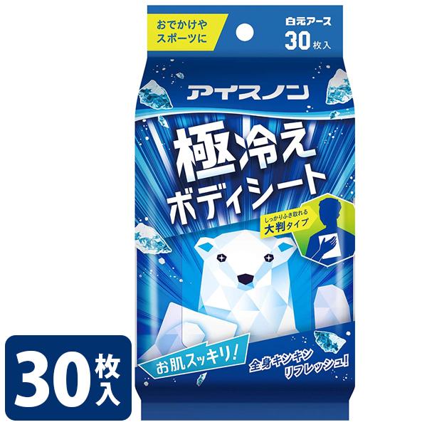 アイスノン 極冷えボディーシート 30枚入り 大判 クール メンズ ミント