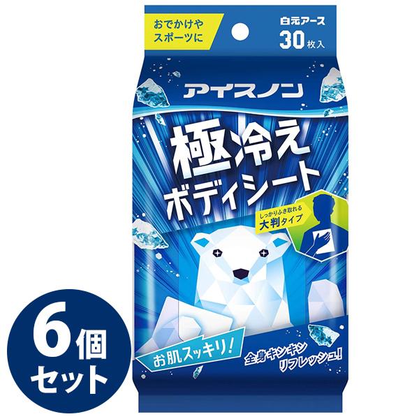 アイスノン 極冷えボディーシート 30枚入り 6個セット 大判 クール