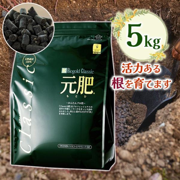植物生育と土壌 ラッセル 昭和31年 初版 近代農芸化学の創始者