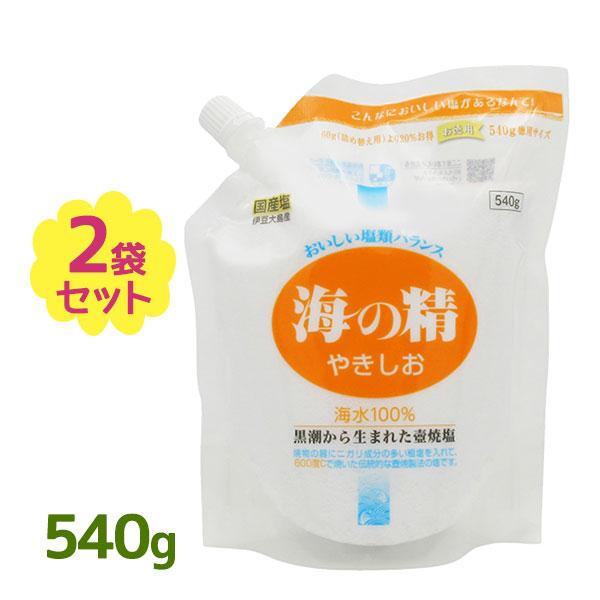 塩 国産 海の精 やきしお 540g 2個セット スタンドパック 調味料