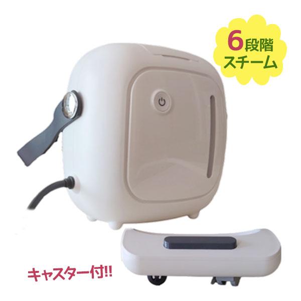 スチームクリーナー スチームマルチクリーナー DEARBUTLER SW-X1W 