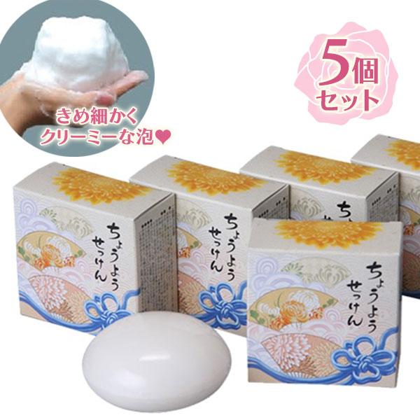 石鹸 手 ちょうようせっけん 5個入り 固形石鹸 無香料 無着色 合成界面