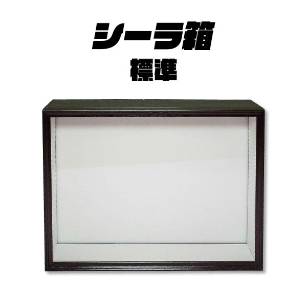 標本箱 シーラ箱 シーラケース 標準 標本用品 高級感 自由研究