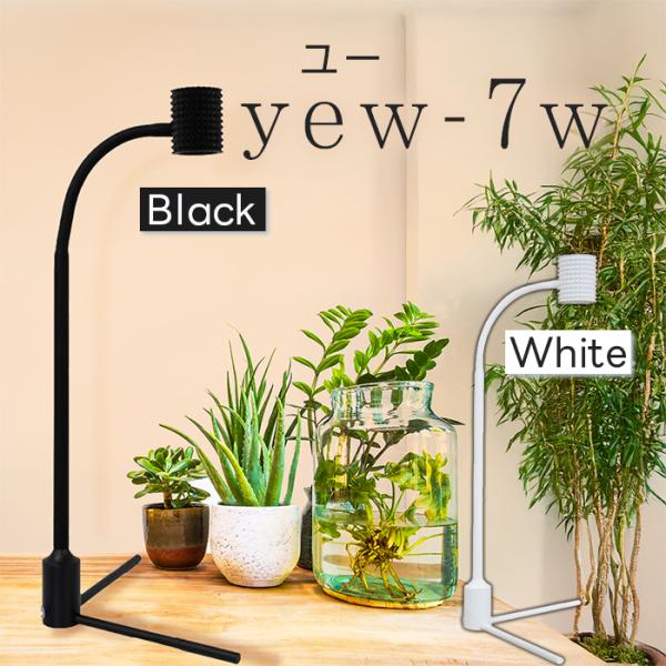 BARRELの植物育成LEDスタンドライト「yew-7w（ユー）」は、植物育成だけでなく、アクアリウムやテラリウムの照明にも適したアイテムです。LEDライトは、植物に必要な波長を効率的に提供し、光の質にもこだわりがあります。これにより、成長...
