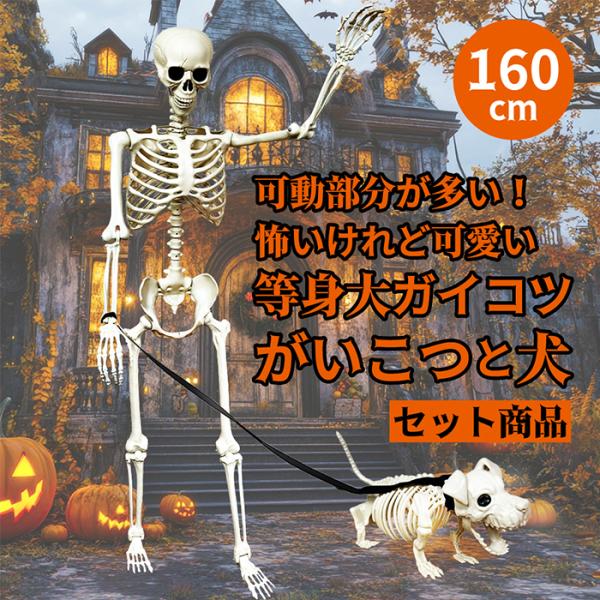 select-mofu-y_u522983