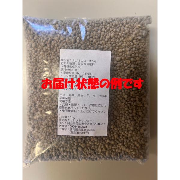 ���̗L�@�@���f5�@�����_5�@�J��3.5�@1Kg�@�������̔��@�엿�@�ᕪ�q�A�~�m�_�@�L�@�����엿�@�t�؁@�ԍ؁@�K�[�f�j���O�@�_�Ɓ@�ƒ�؉� ���i�摜2